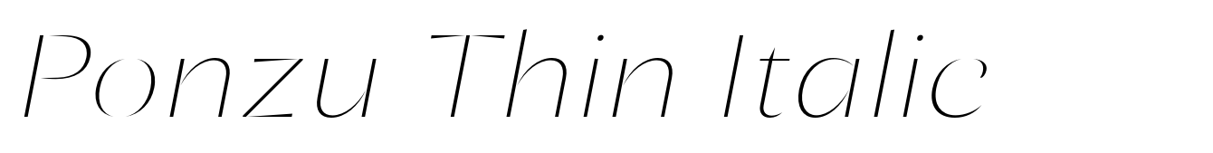 Ponzu Thin Italic
